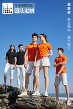 飞纳308短袖POLO衫工作服定做厂服定制夏季班服公司团建服促销服