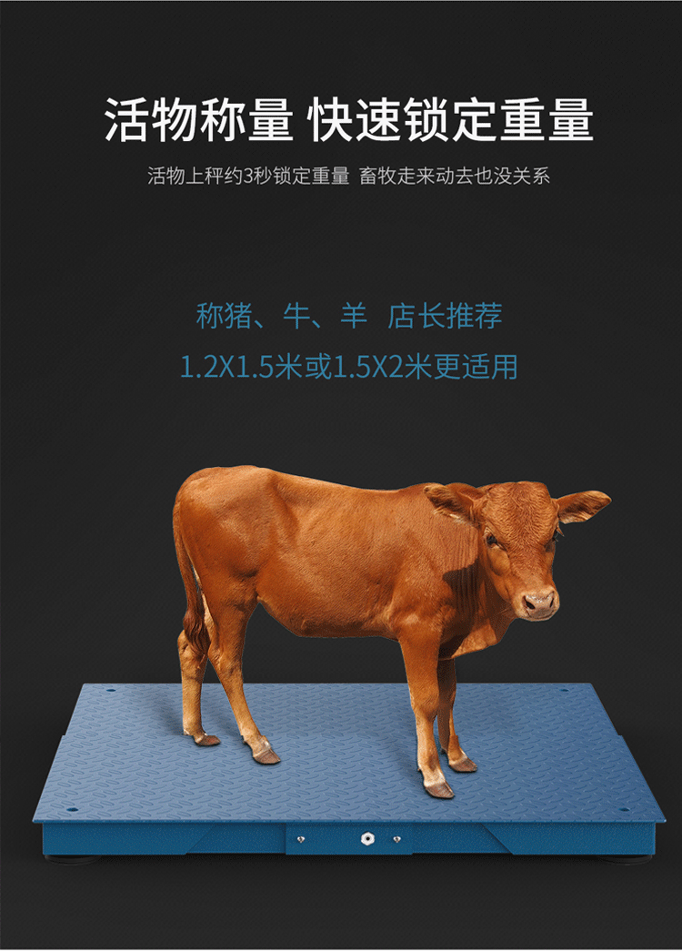 电子秤台秤地磅秤1-3吨平台秤畜牧称小型称重物流动物工厂工业