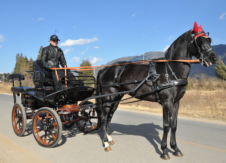 厂家直销欧式运动休闲马车 景区观光旅游 出口高品质户外豪华马车
