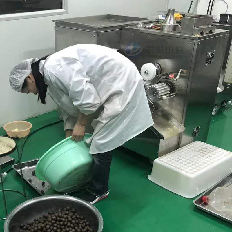 晨雕定制包邮全自动中药制丸机八珍糕丸 黑芝麻丸蜜丸制丸机出6条