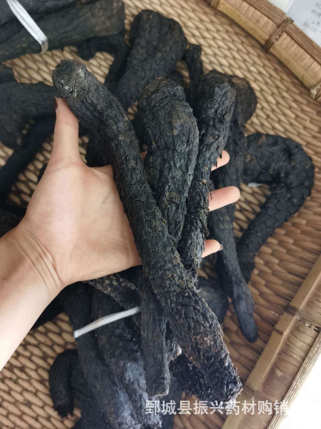 【振兴中药】中药材批发供应【大云肉苁蓉】-阿里巴巴