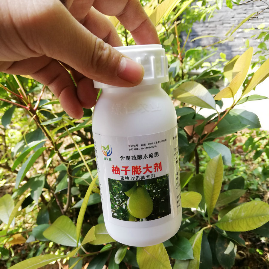 果树肥料 沙田柚蜜柚膨大剂丰产素 促花保果膨大增甜口感好维c高