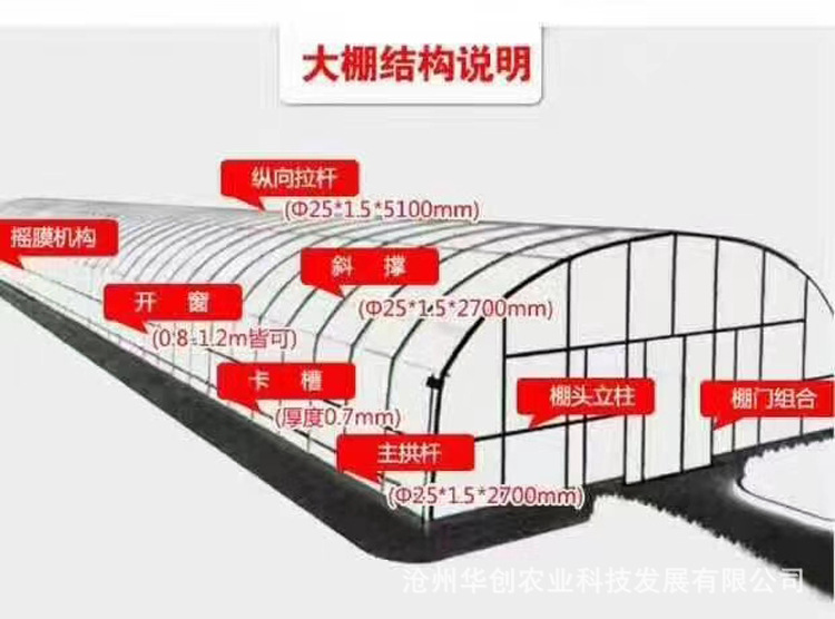 cad大棚整体结构图设计图纸 cad施工图纸代画平面图