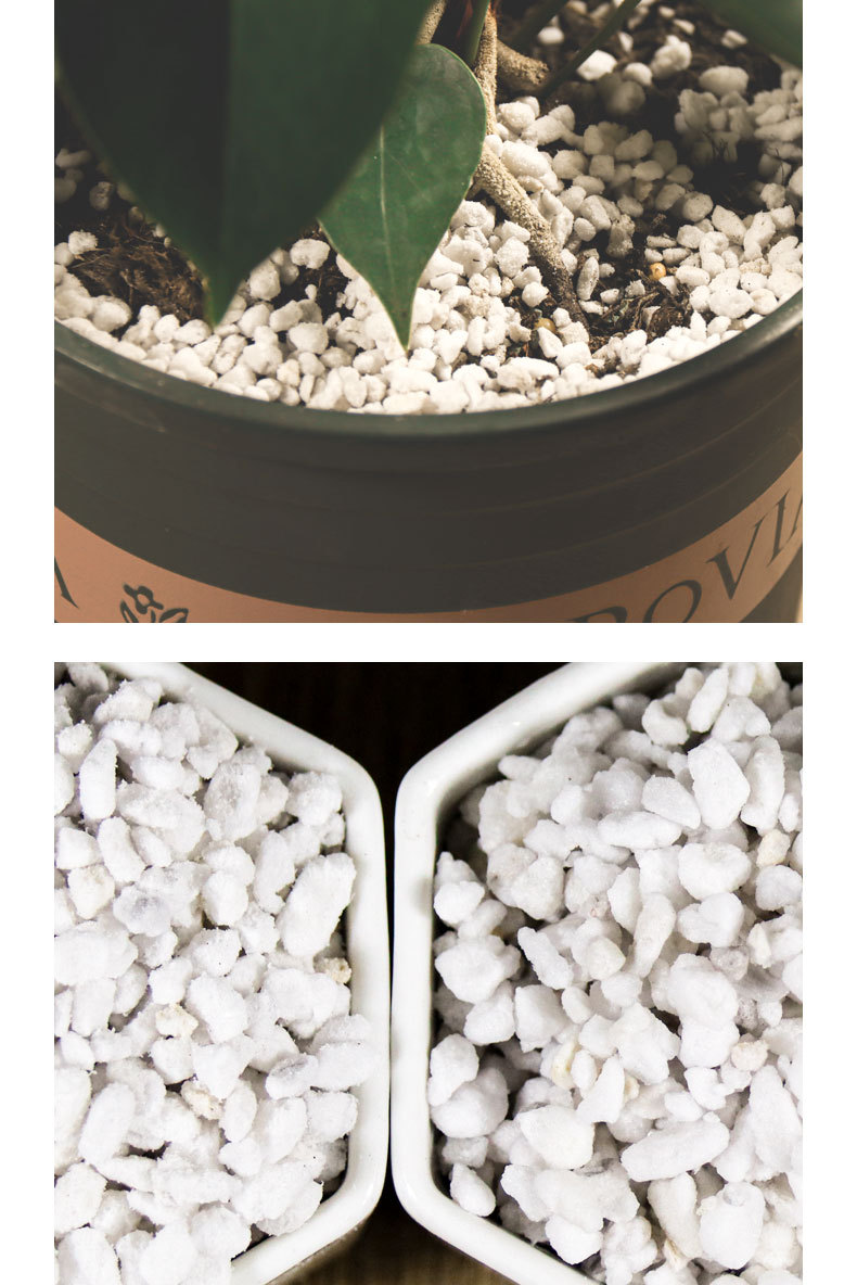 生长魔励家庭园艺珍珠岩大颗粒膨胀珍珠岩多肉盆栽花卉育苗基质