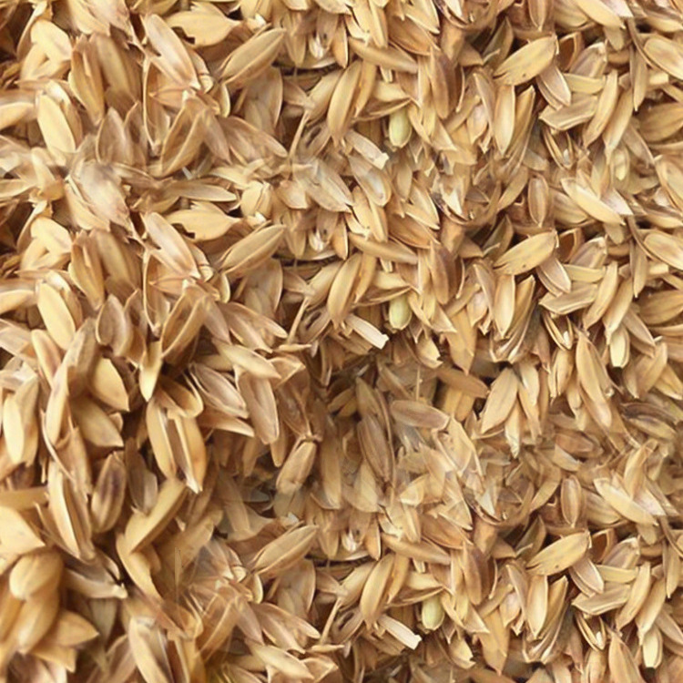 现货批发 新鲜品质散装稻壳 养殖垫料酿酒原料除尘稻糠压缩大米壳