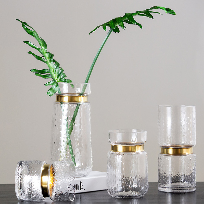 Nordic Light Luxury Creative Transparent Metal Glass Vase Vase Living Room Table Decorative Bottle Body Flower Decoration