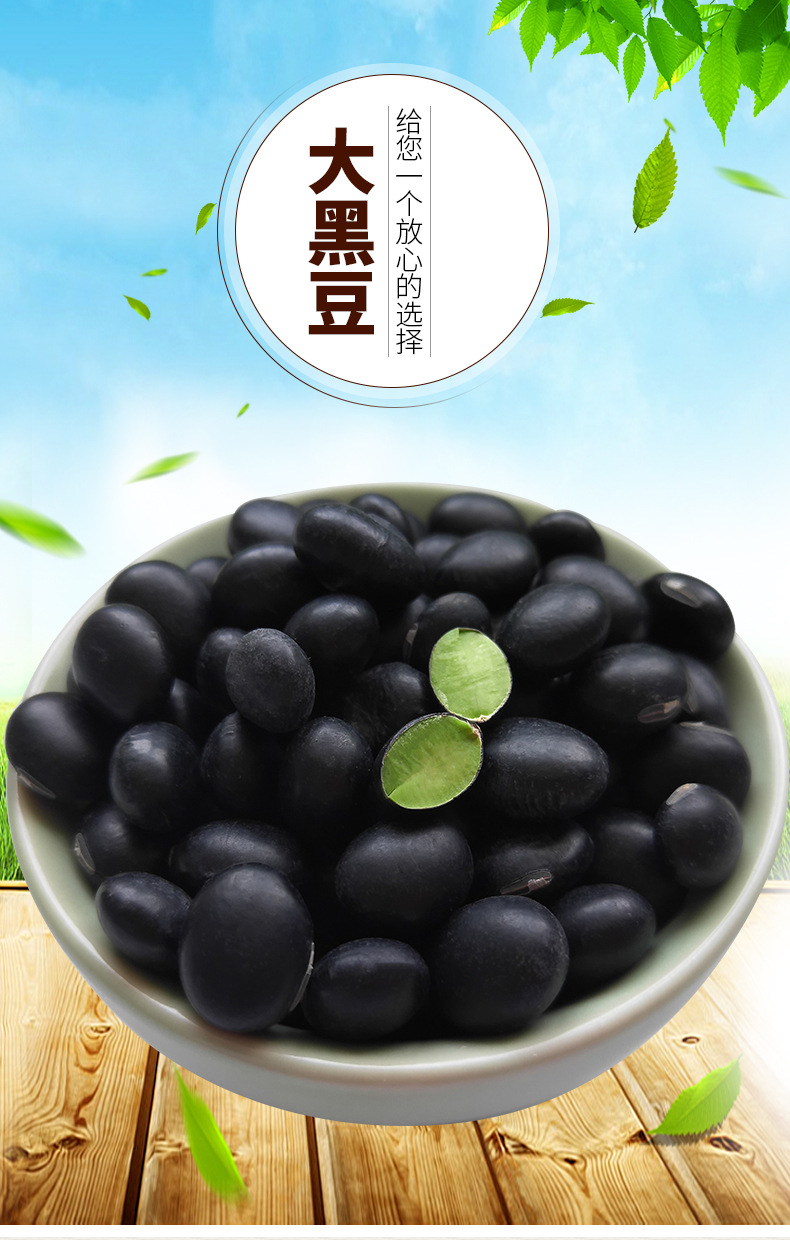大黑豆东北乌皮绿芯黑豆青仁绿心大黑豆泡醋豆浆原料杂粮25kg