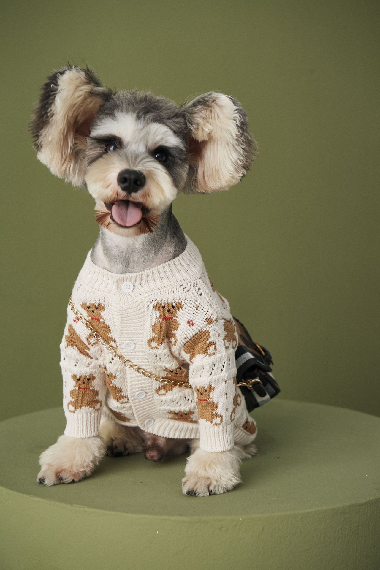 小狗狗衣服秋冬新款小熊毛衣开衫泰迪雪纳瑞博美贵宾可爱宠物外套