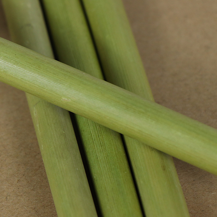 厂家直销生态环境友好天然绿色竹吸管饮料吸管奶茶吸管绿竹吸管