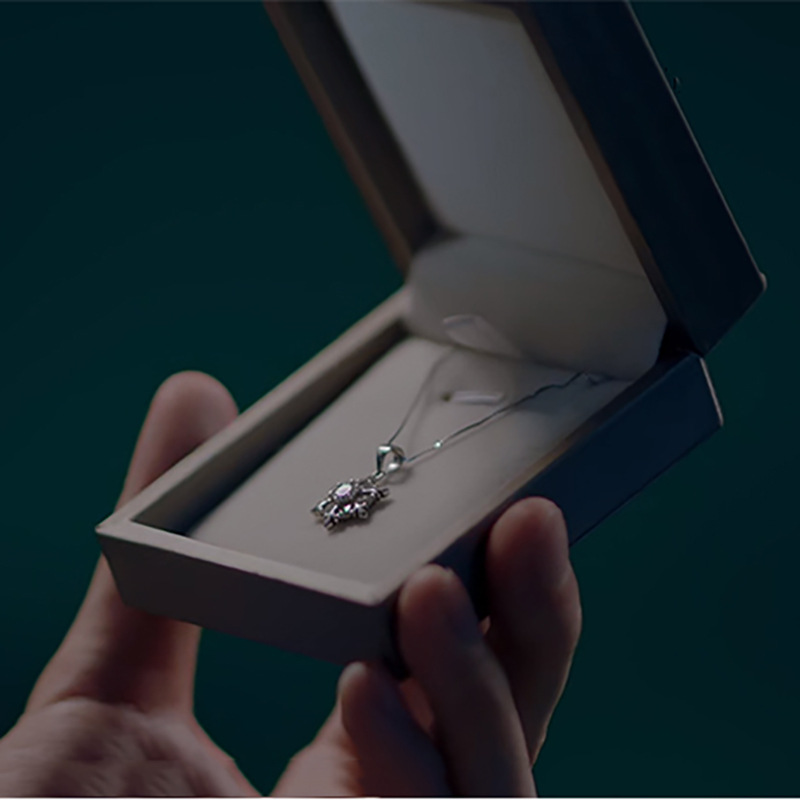 冰糖炖雪梨吴倩棠雪同款项链女纯银锁骨链女韩版时尚网红雪花吊坠