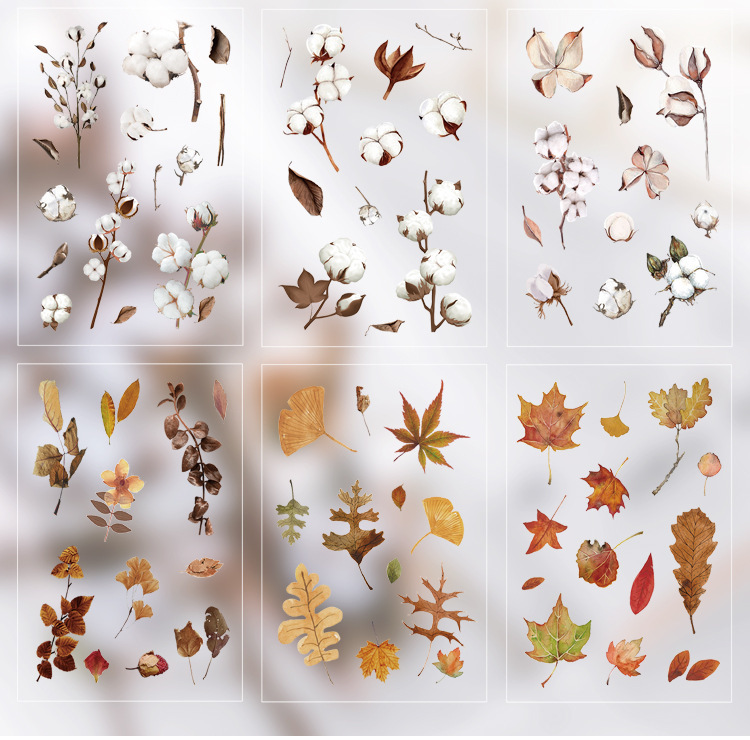 闻述pet贴纸 花叶标本系列 清新植物手帐diy异形素材贴画6张入6款