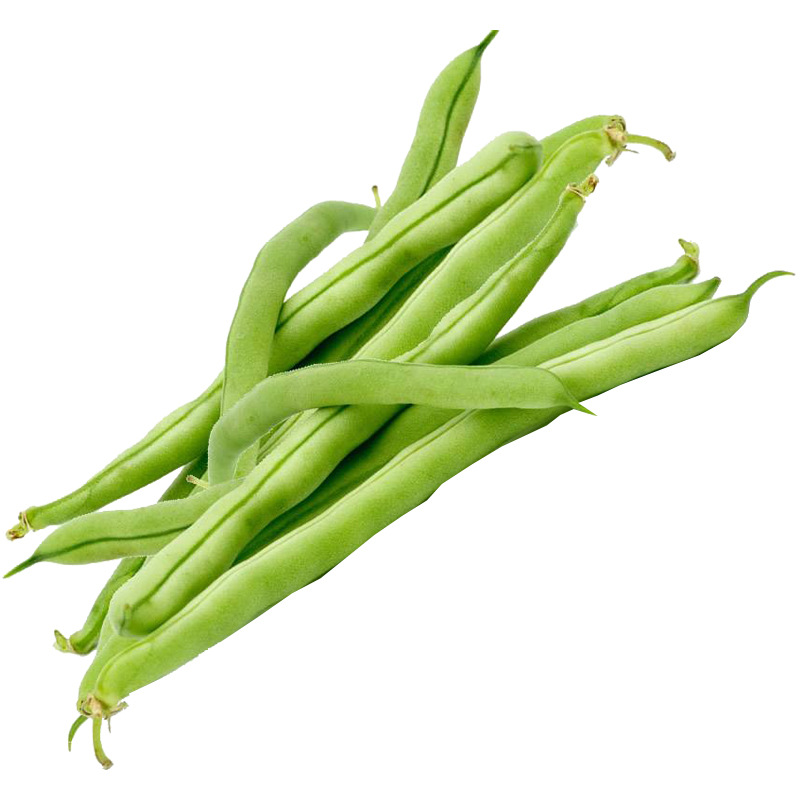 四季架豆王种子无筋架豆王泰国改良四季豆种籽寿光蔬菜四季种孑