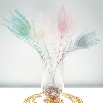 义乌厂家直销孔雀羽毛服装饰品配件房间装饰羽毛彩色孔雀毛