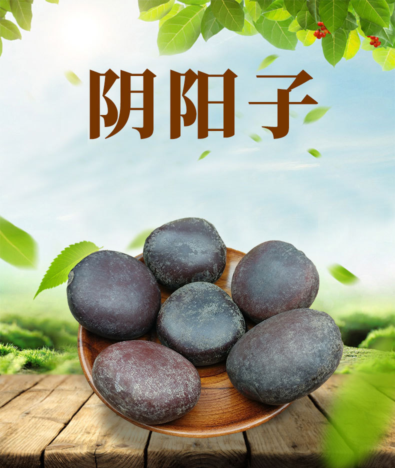 木腰子 泡酒料阴阳子 过江龙子 龙须藤肾树宝罗汉豆菩提子原料