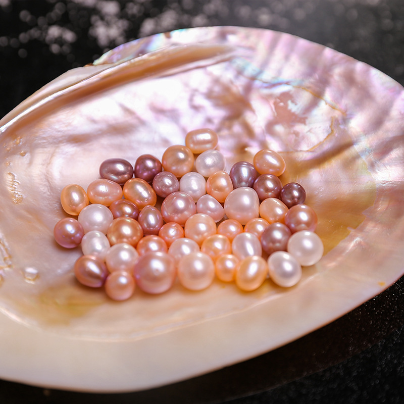 珍珠蚌鲜活包邮大河蚌自己开多珠蚌diy珍珠爆紫高产取珍珠活体蚌