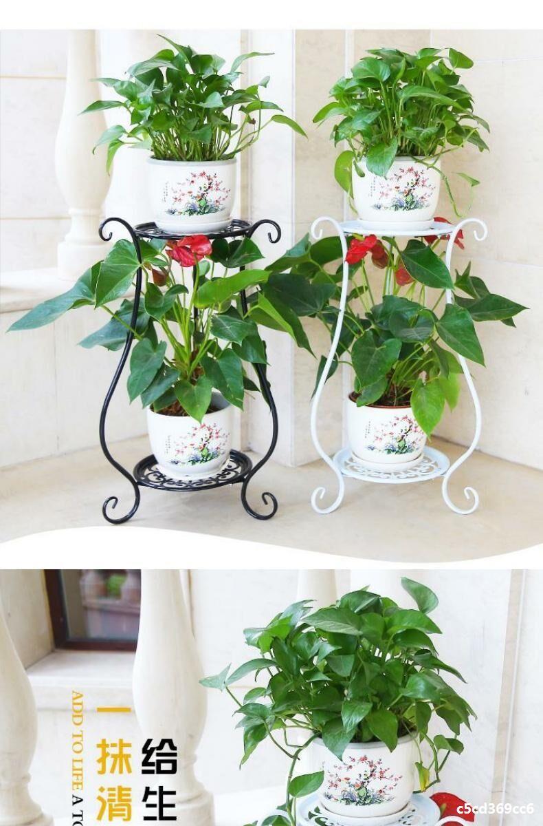 植物架鲜花店攀爬绿萝花绿萝大盆栽植物.室内带花架子托盘吊兰架