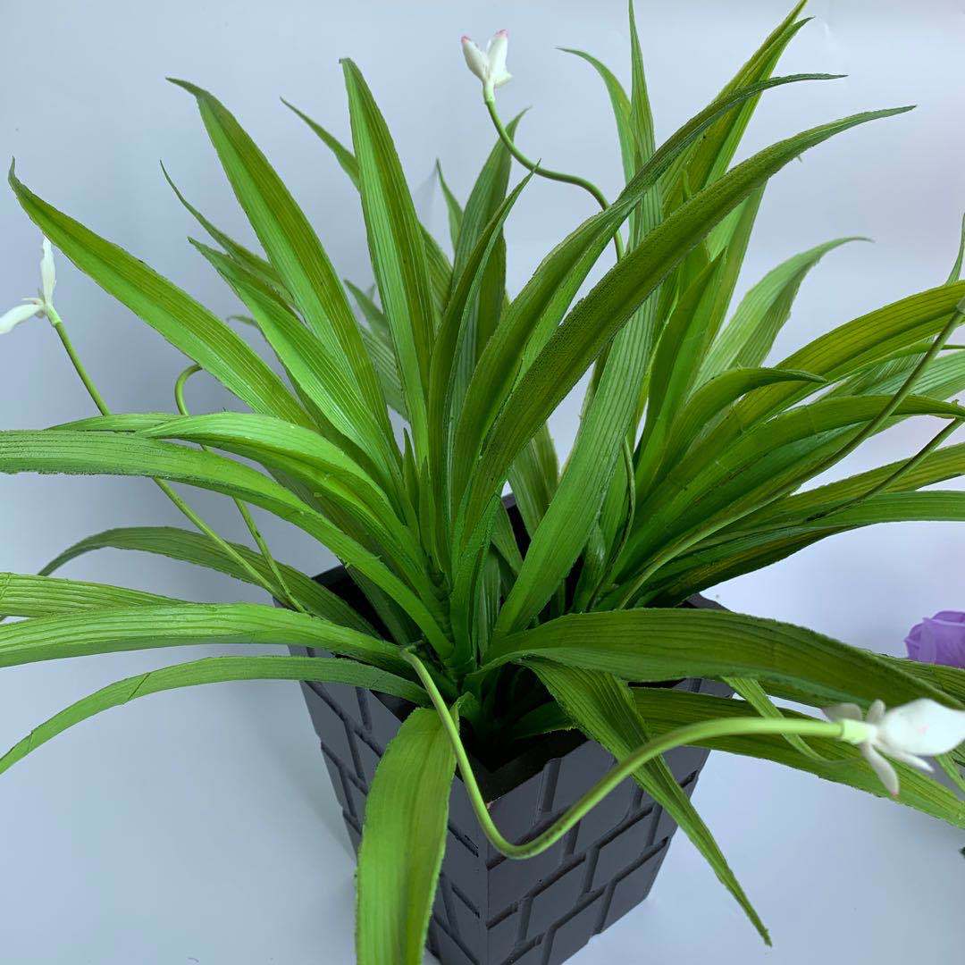 丝网花配草仿真盆景花插花兰花叶 吊兰草 君子兰草