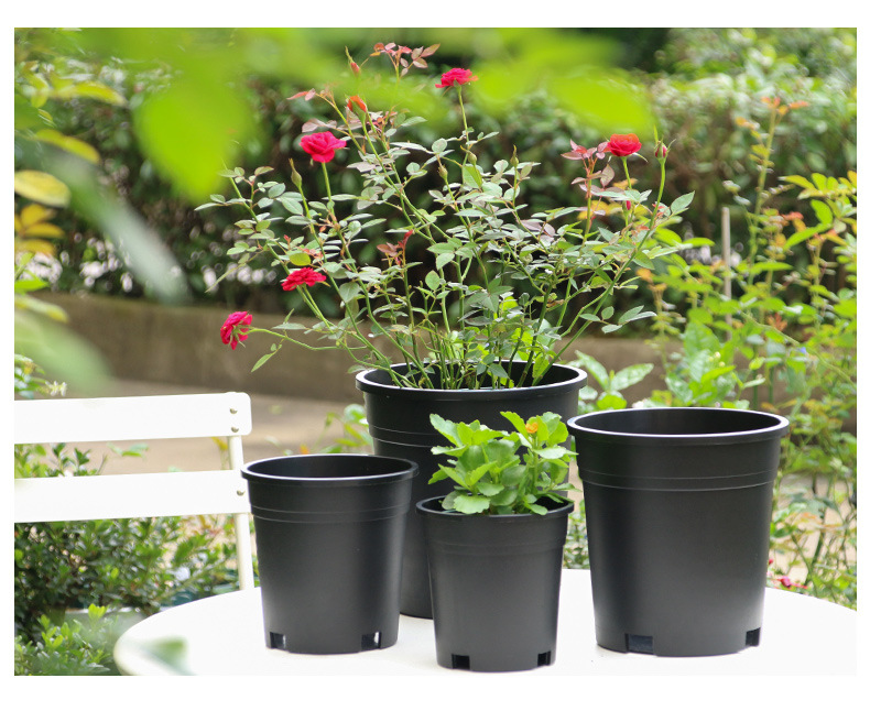 加仑盆 黑色塑料花盆 苗圃基地育苗盆种植盆 种花盆月季花育苗盆