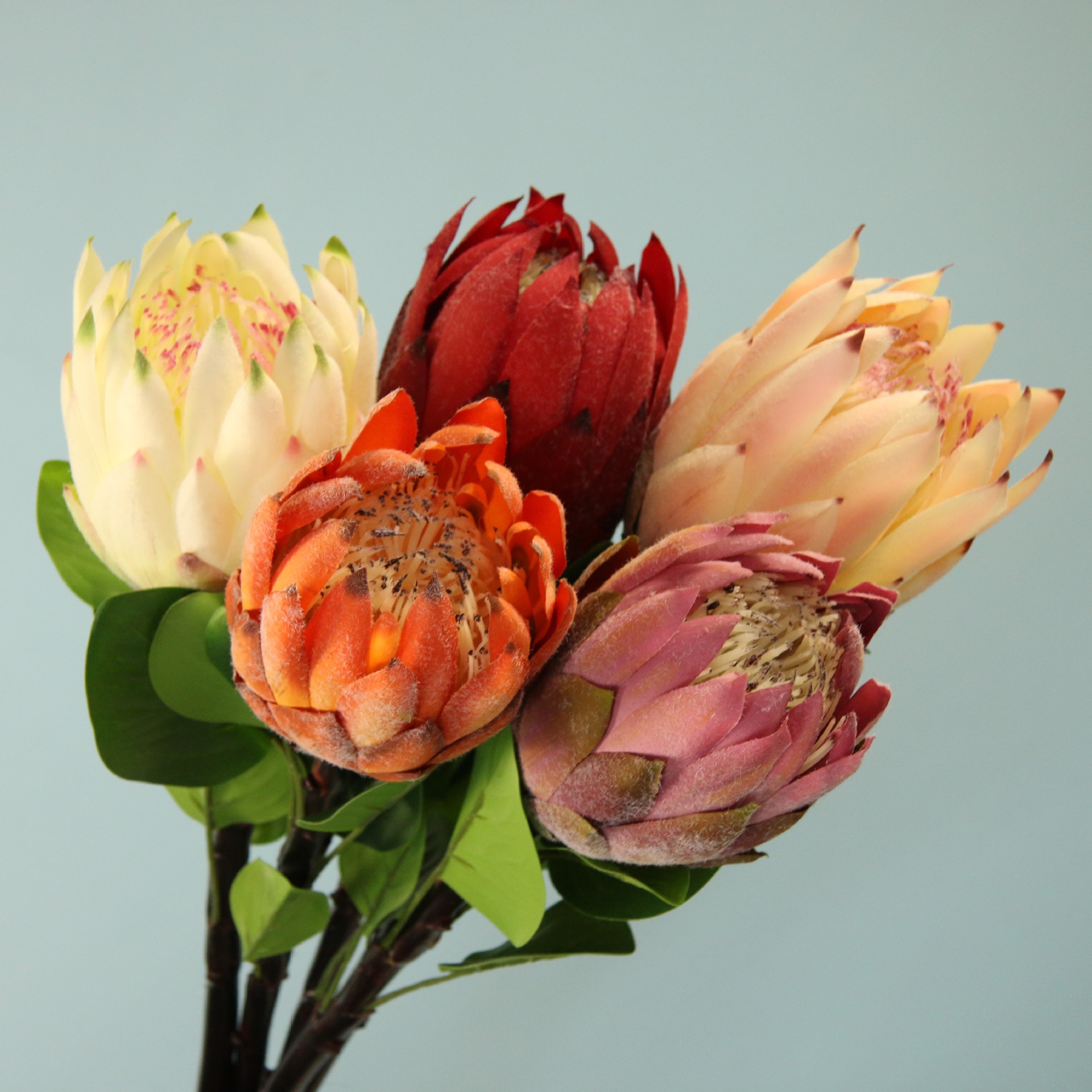 仿真花大帝王花热带植物摆设婚庆插花花艺装饰