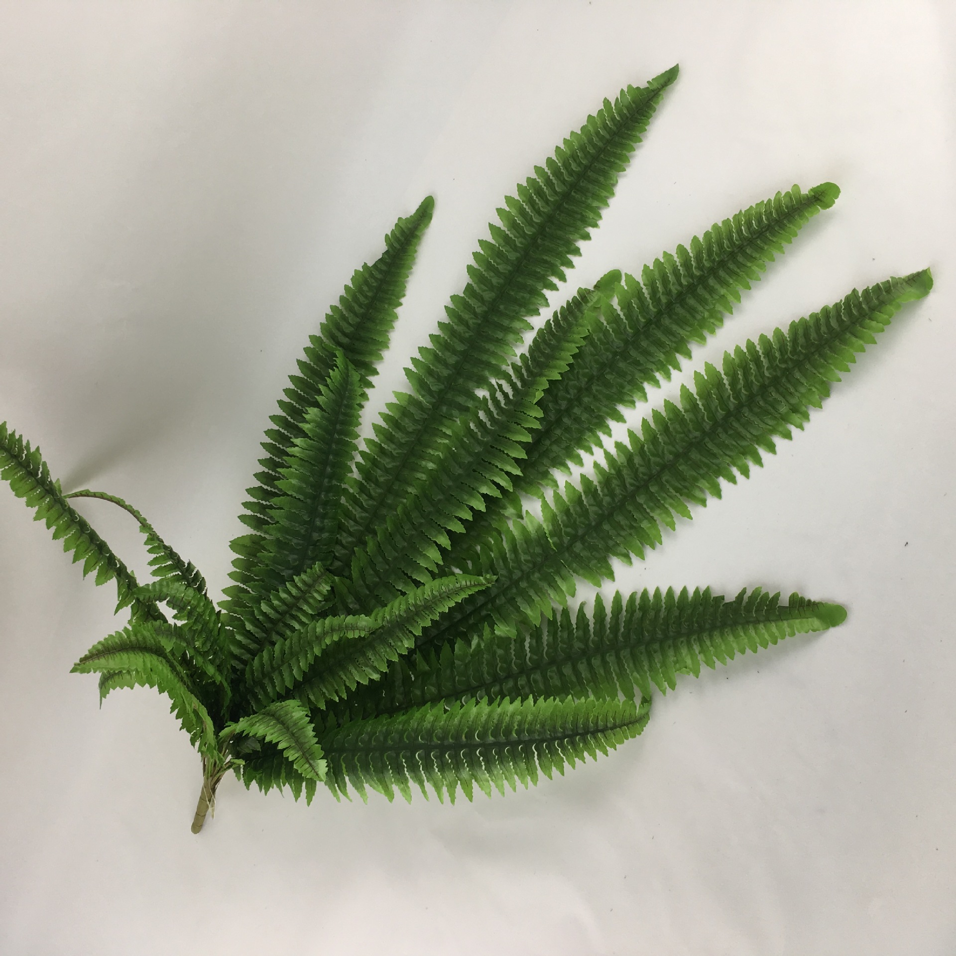 仿真波斯叶壁挂18叉蕨类植物植物墙配饰波斯长蕨草仿真植物