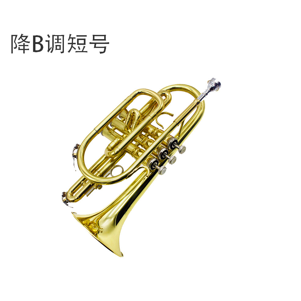 短号 漆金短号 bb调短号 黄铜短号 专业吹奏乐器 演出乐器短号