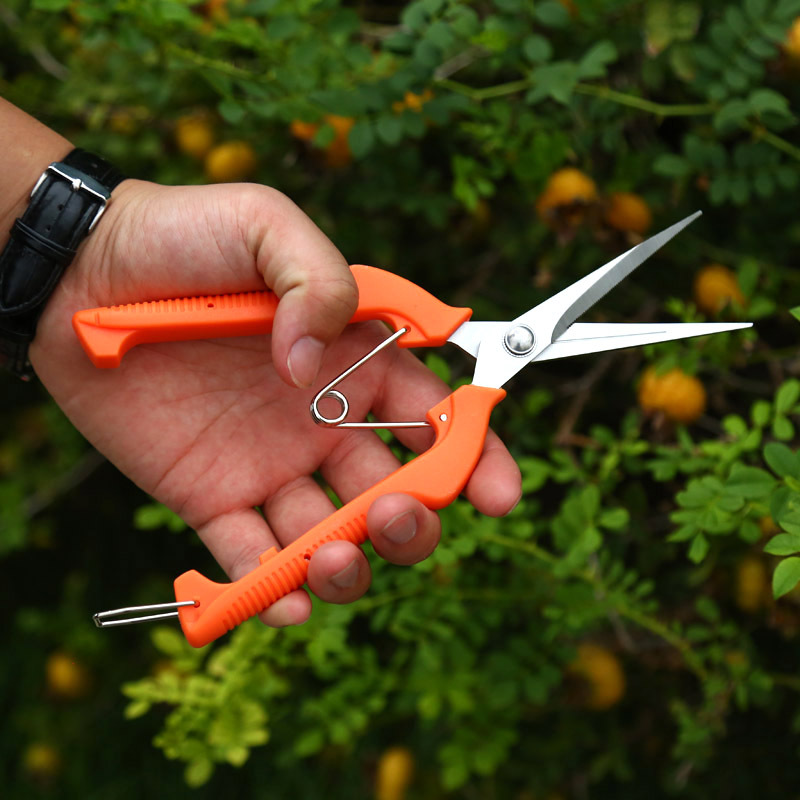 稀果剪采果剪摘果剪疏花摘果剪黑枸杞花椒花枝剪园艺葡萄采摘剪刀