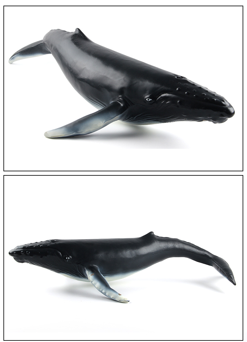 软胶超大充气野生海洋动物模型玩具pvc儿童戏水座头鲸鱼