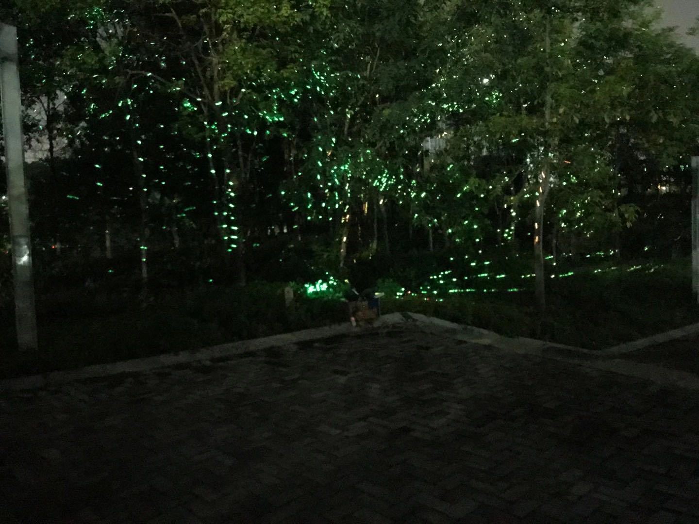 萤火虫投影灯图案灯背景灯装饰灯ip65户外防水激光文旅工程专用