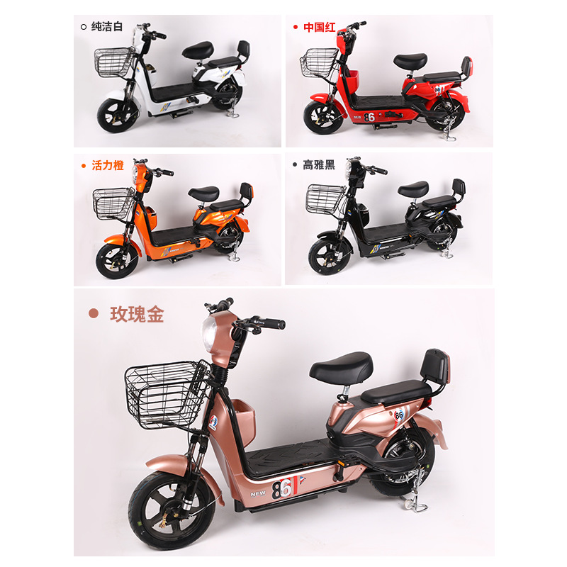 New National Standard Golden Eagle Adult Electric Bicycle 48V Double Seat Pedal Battery Car Two-Wheel Scooter Electric Bicycle