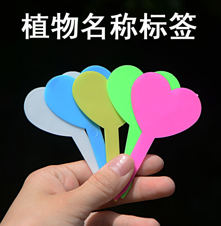 261多肉植物园艺标签爱心可爱彩色花卉插地牌植物盆栽标签花