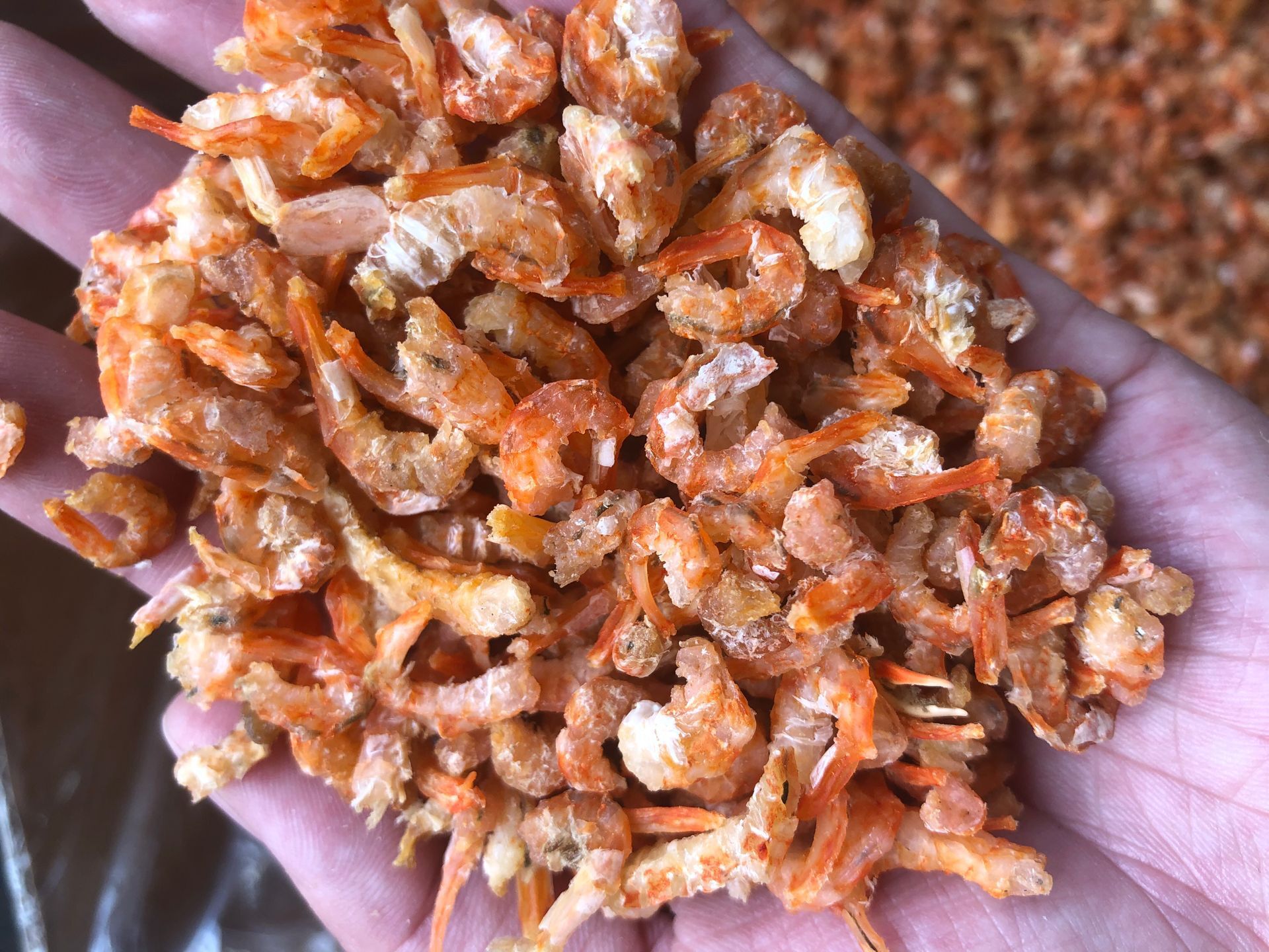 虾米(北海金勾虾米,一件18公斤)