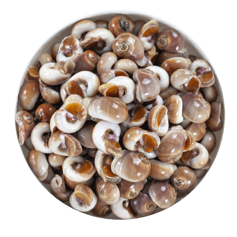 3斤包邮小香螺新鲜鲜活海捕香螺红香螺猫眼黄香玉螺肚脐螺