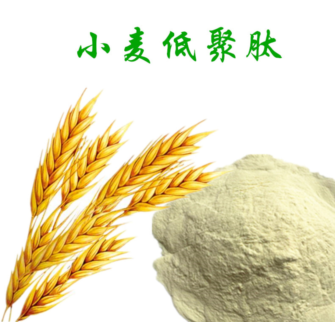 小麦肽 食品级 小麦低聚肽 小麦蛋白肽 小分子活性肽 质量保证