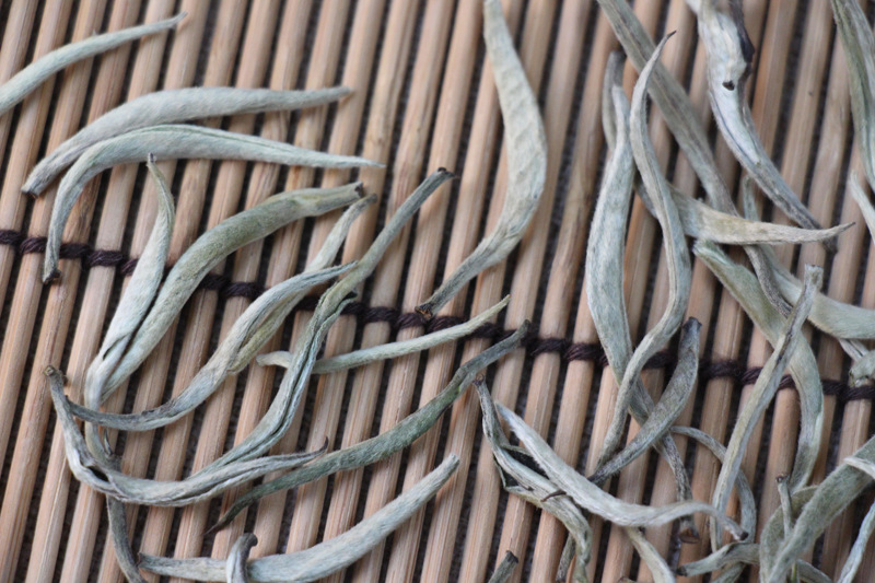 2022年白茶批发 云南景谷大白茶 大白芽白毫银针单芽500g散装