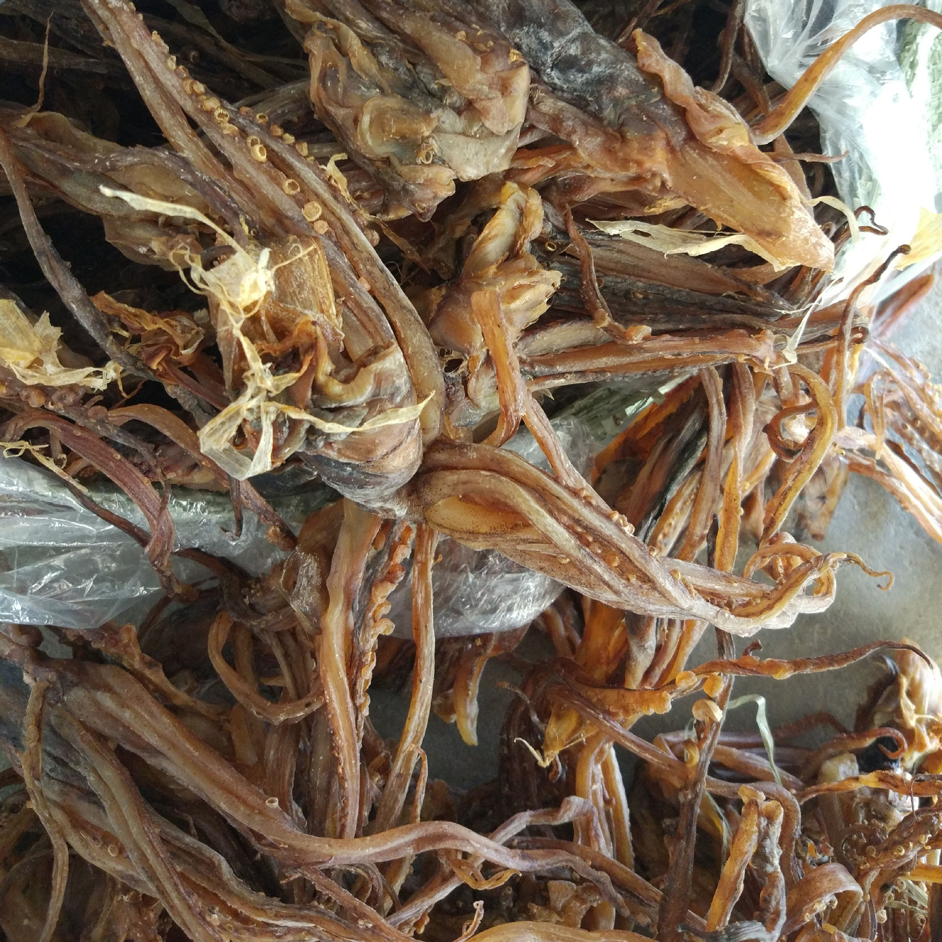 鱿鱼须大号干鱿鱼山东鱿鱼须水发鱿鱼个大肉厚产地货