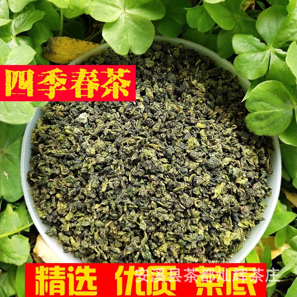 四季春茶四季青茶乌龙茶叶四季春奶茶店专用台湾喜茶商用原材料