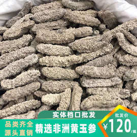 滋补大唐 精选非洲黄玉参 淡干黄肉参 白玉参 野生淡干海参批发