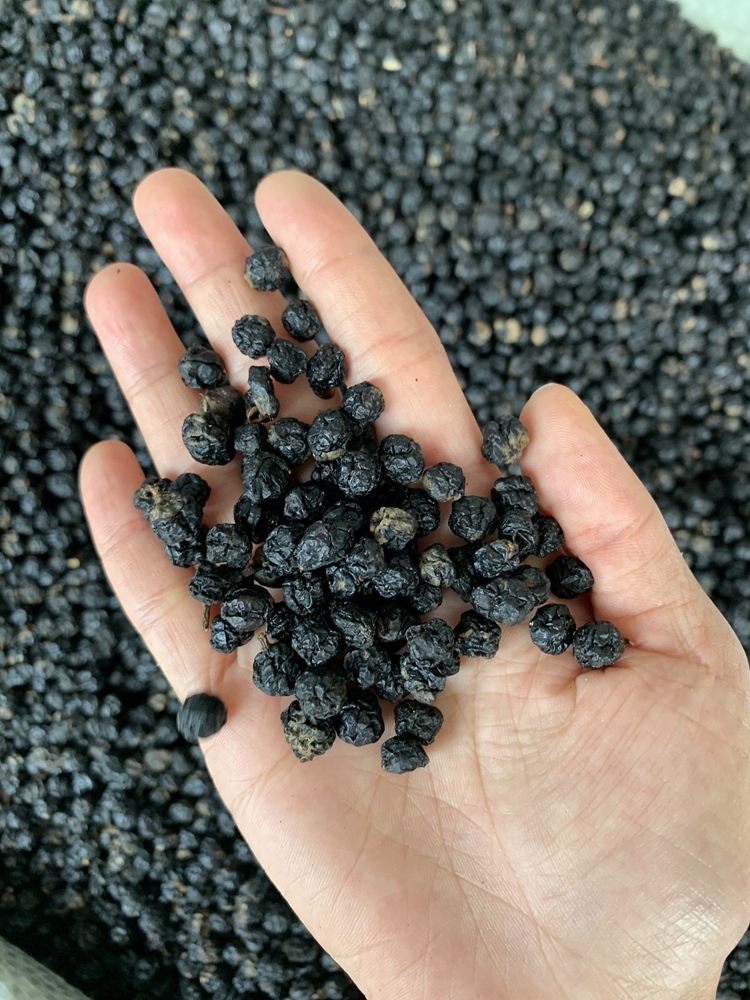 俄罗斯 小黑果 100克一袋 小黑果现货2000斤批发加v13154532299