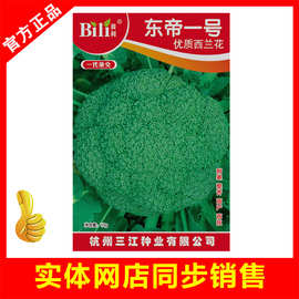 西兰花优秀种子