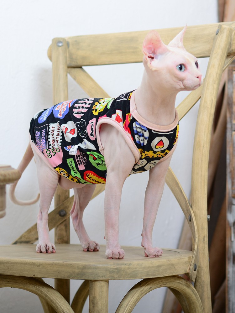 moorspet斯芬克斯无毛猫衣服矮脚背心德文柯尼斯夏春秋轻薄小背心