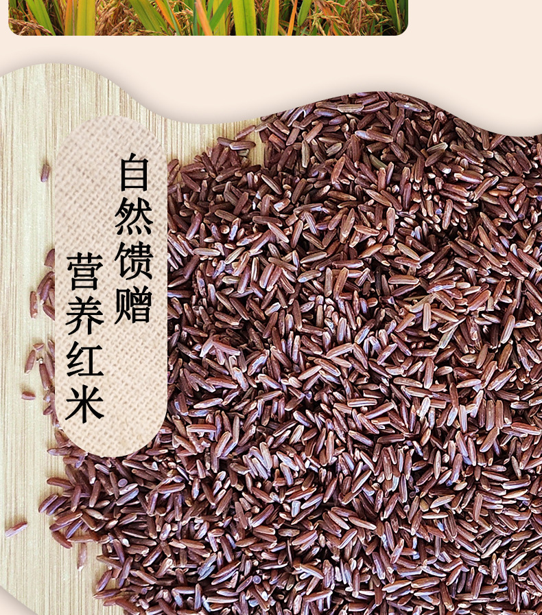 东北厂家批发有机红米农家红米稻五谷杂粮红水稻400g赤米 红大米