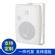 5.25寸壁挂音箱FashionSpeaker广播音响户外音箱室内音箱会议音箱