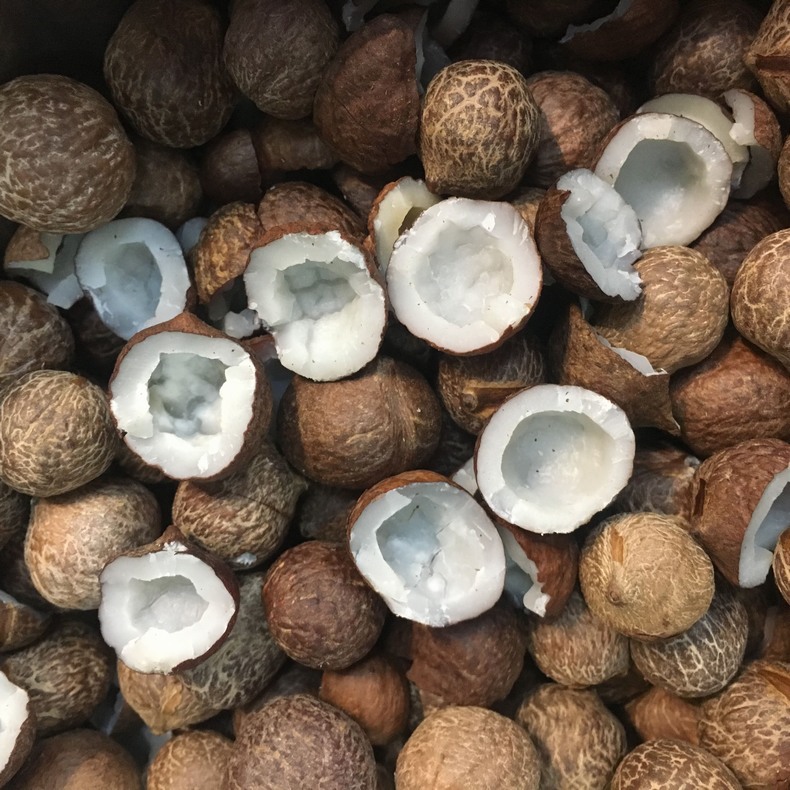 无壳海椰皇小椰子 去壳椰香味浓壳小椰皇肉批发 量大质量货椰子肉