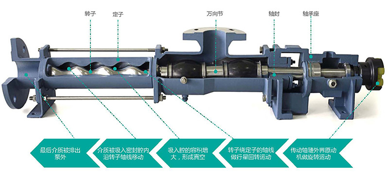 螺杆泵工作原理(小图)