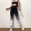 Explosive money Europe and America seamless Bodybuilding Yoga suit suit Gradient color motion Bras Cross border Yoga Pants Tight fitting new pattern Explosive money Europe and America seamless Bodybuilding Yoga suit suit Gradient color motion Bras Cross border Yoga Pants Tight fitting new pattern