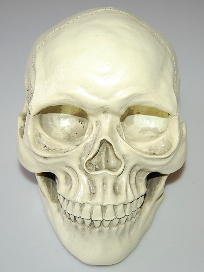 1:1人类头骨模型 树脂骷髅头万圣节用品布景摆设道具模具