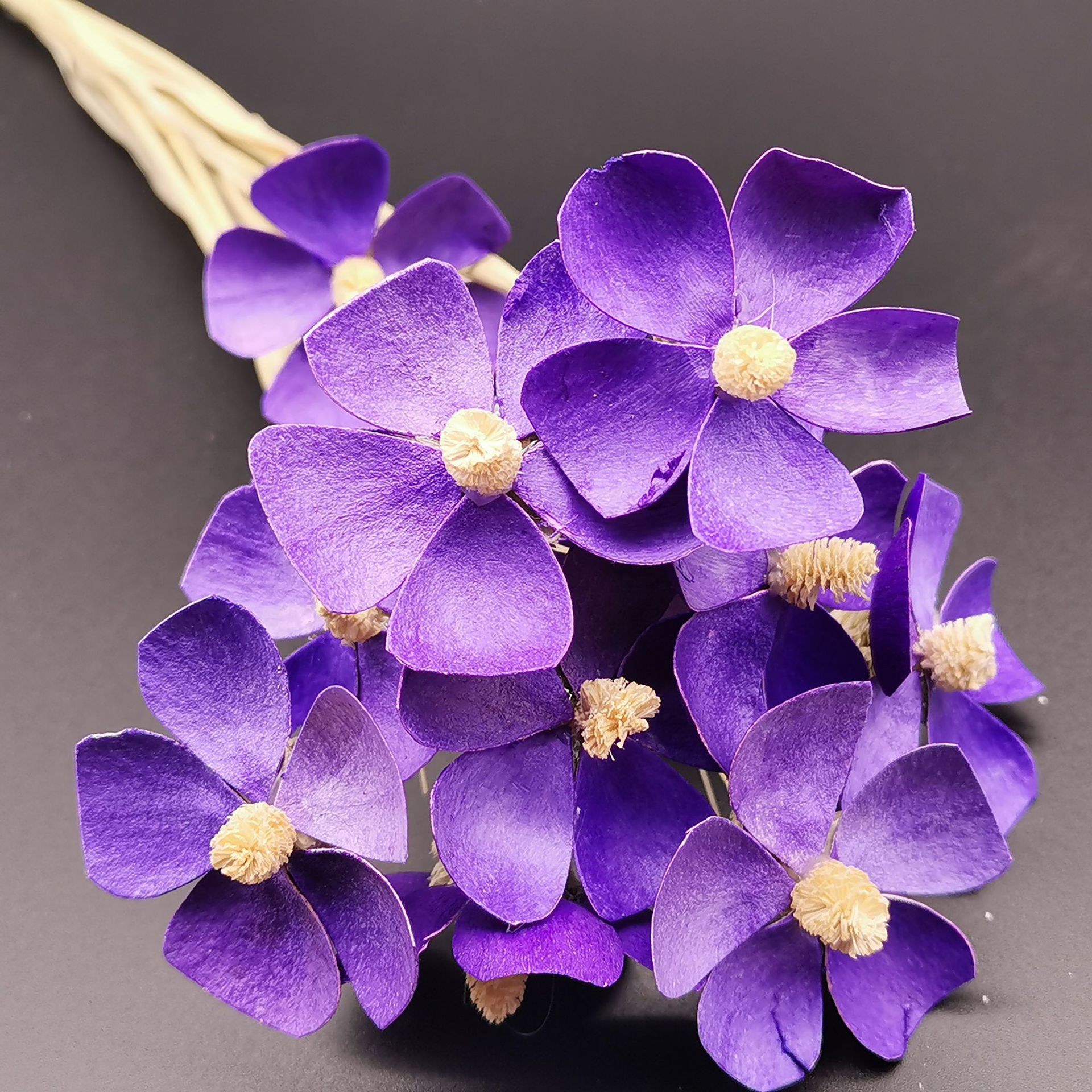 紫罗兰手工蝴蝶兰组合干花小清新diy手工节日礼物家居装饰紫罗兰