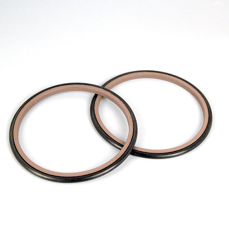 grs斯特封oedoer轴用格莱圈oedgsr10511611012142