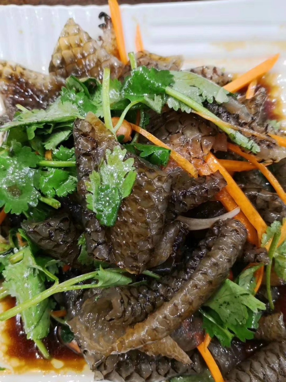 批发泡椒鱼皮清水鱼皮海底捞食材原料