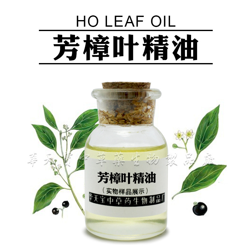 芳樟叶精油 1kg 蒸馏提取芳樟叶油 ho leaf oil 香樟油厂家